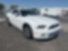 1ZVBP8AM5E5302508-2014-ford-mustang-0