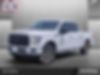 1FTEW1CPXFKD68458-2015-ford-f-150-0