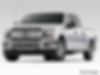 1FTEW1EP8KFB10505-2019-ford-f-150-0