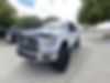 1FTEW1E88GKE51555-2016-ford-f-150-0