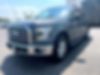 1FTEW1CP8GKF97447-2016-ford-f-150-2