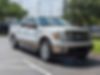 1FTFW1CT3BFB42203-2011-ford-f-150-1