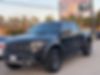 1FTFW1R68DFC05011-2013-ford-f-150-0
