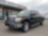 1FTFW1ET1BFB84995-2011-ford-f-150