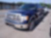 1FTFW1CV9AFD86504-2010-ford-f-150-0