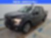1FTEW1EF9GFC03399-2016-ford-f-150-0