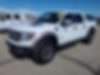 1FTFW1R63BFB33017-2011-ford-f-150-0