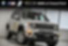ZACNJBBB8KPK31543-2019-jeep-renegade-0