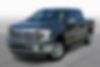 1FTEW1CP3FKE02725-2015-ford-f-150-0