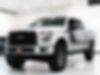 1FTEW1EP7GFC98859-2016-ford-f-150-0