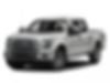1FTEW1EF5GFA50259-2016-ford-f-150-0