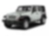 1C4BJWDG9FL610163-2015-jeep-wrangler-0
