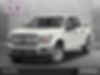 1FTEW1C5XKKC98534-2019-ford-f-150-0