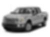 1FTEW1EP1HFA67165-2017-ford-f-150-0