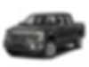 1FTEW1EP2FKD07750-2015-ford-f-150-0