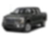 1FTEW1E81FFB84699-2015-ford-f-150-0