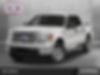 1FTFW1CT4DKD05807-2013-ford-f-150-0