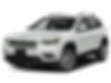 1C4PJMDX0MD100995-2021-jeep-cherokee-0
