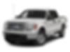 1FTFW1CT0DFC46778-2013-ford-f-150