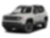 ZACCJBCT6GPD01906-2016-jeep-renegade