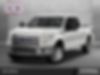 1FTEW1CP0GFA50388-2016-ford-f-150-0